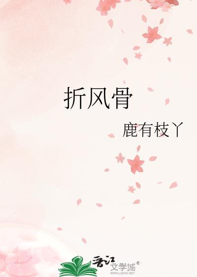 折风骨txt盘