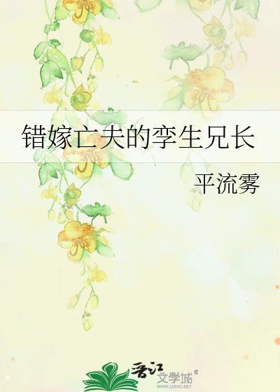 错嫁夫夫