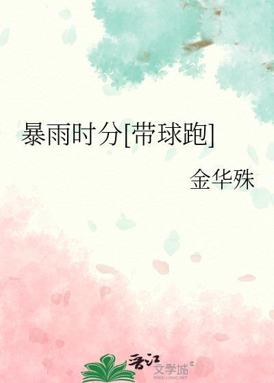 暴雨是啥意思