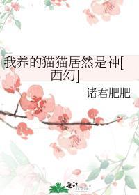 我养的猫怎么可能是个美少女完结全本