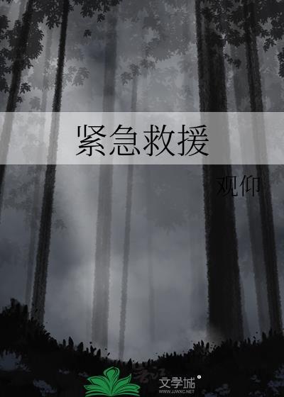 紧急救援飞机坠海