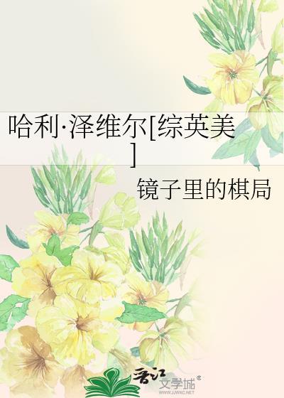 哈利泽维尔格格党