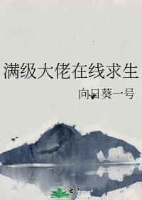 满级大佬的生存法则