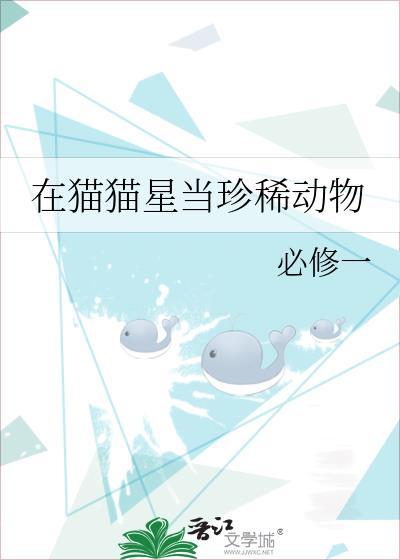 在喵星上生存的那些年