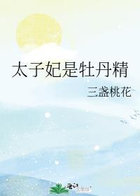 太子妃的作用