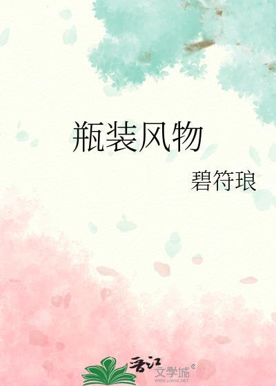瓶装风物txt