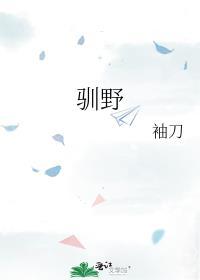 驯野袖刀