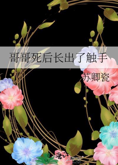 哥哥逝去
