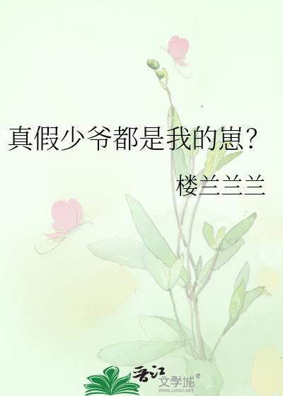 真假少爷书包网