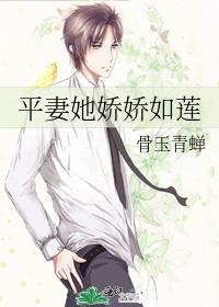关于平妻的