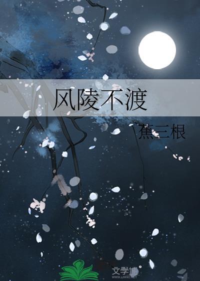 风陵渡解析