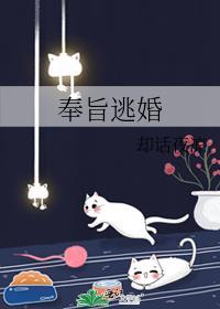 奉旨逃婚全文免费阅读全文