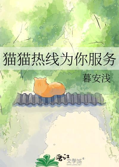 猫咪线上客服