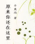 致青春2原来你还在这里第二部