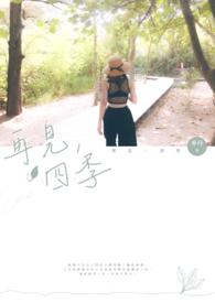 再见四人组合