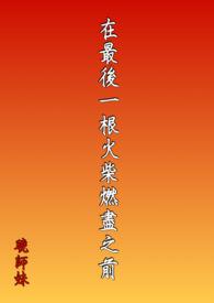 最后一根火柴短文