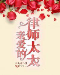 亲爱的律师太太全文结局