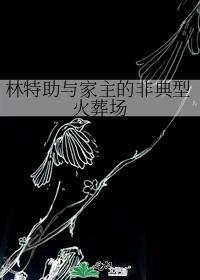 林特助是哪个电视剧