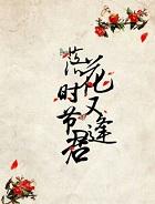 落花时节又逢君歌词