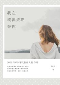 我在远方流浪