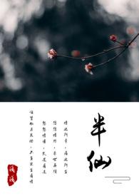 半仙一般指什么人
