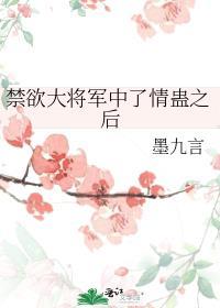 禁欲上将