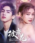 彼岸花的花语