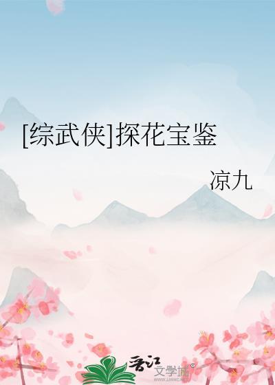 探花小宝