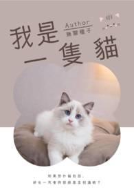 我是一只猫视频游戏