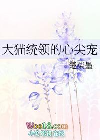 大猫统领的心尖宠TXT