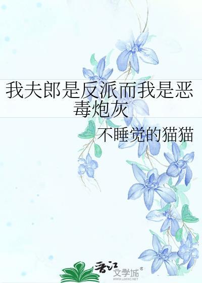 我夫郎是反派而我是恶毒炮灰by不睡