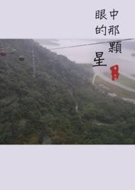 眼中星什么意思