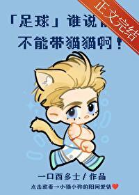 足球谁说前锋不可以带猫猫txt