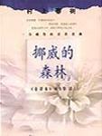 挪威的森林内容简介