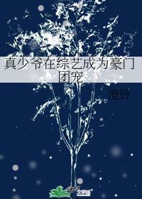 真少爷回到顶级豪门后