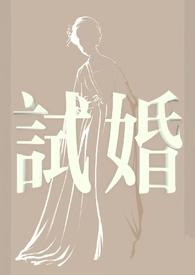 试婚丫鬟全文阅读
