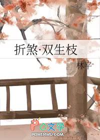 折枝 双xing