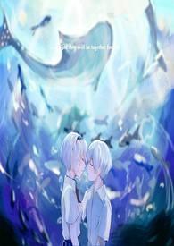 如果是你会怎么选择