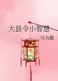 大县令小仵作全文阅读