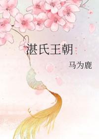 湛氏王朝gI百度