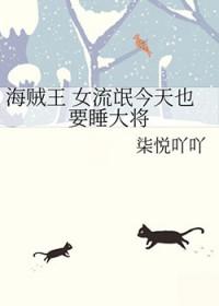 流氓海贼王游戏