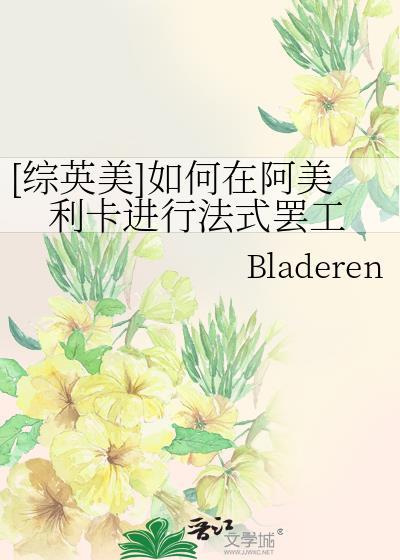 阿美莉卡公司