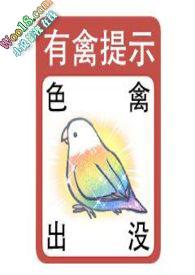 女生贴贴是暗示什么
