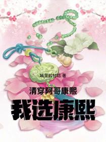 清穿阿哥康熙我选康熙笔趣阁