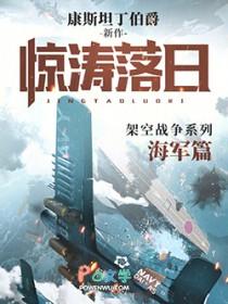惊涛落日无错版