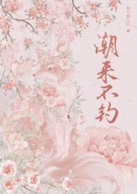 潮来潮去