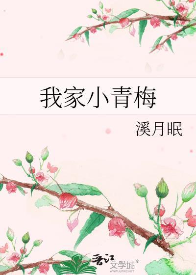 我家小青梅完整版TXT