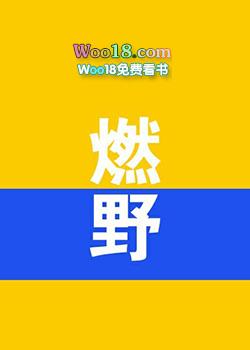 燃野少年的天空2