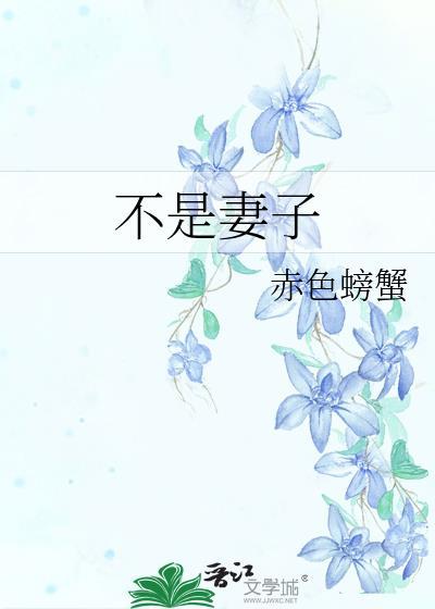 不是老婆也不是情人是什么