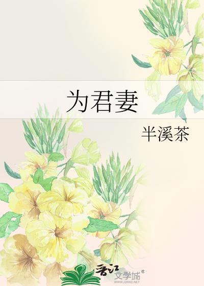 为君妻周临锦免费阅读全文